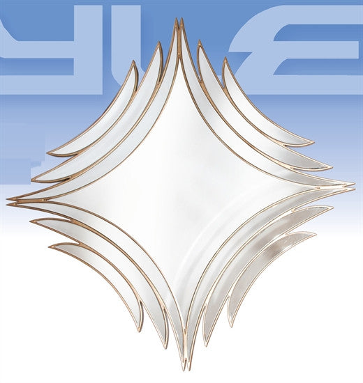 Web Mirror With Wood Trimming