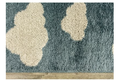 TAPIS/RUGS