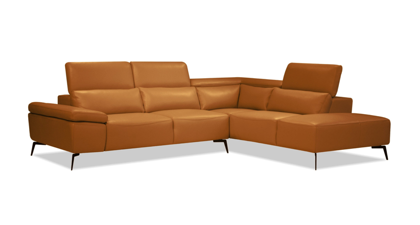 SECTIONNEL