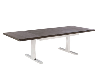 TABLE AVEC EXTENSION