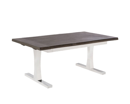 TABLE AVEC EXTENSION