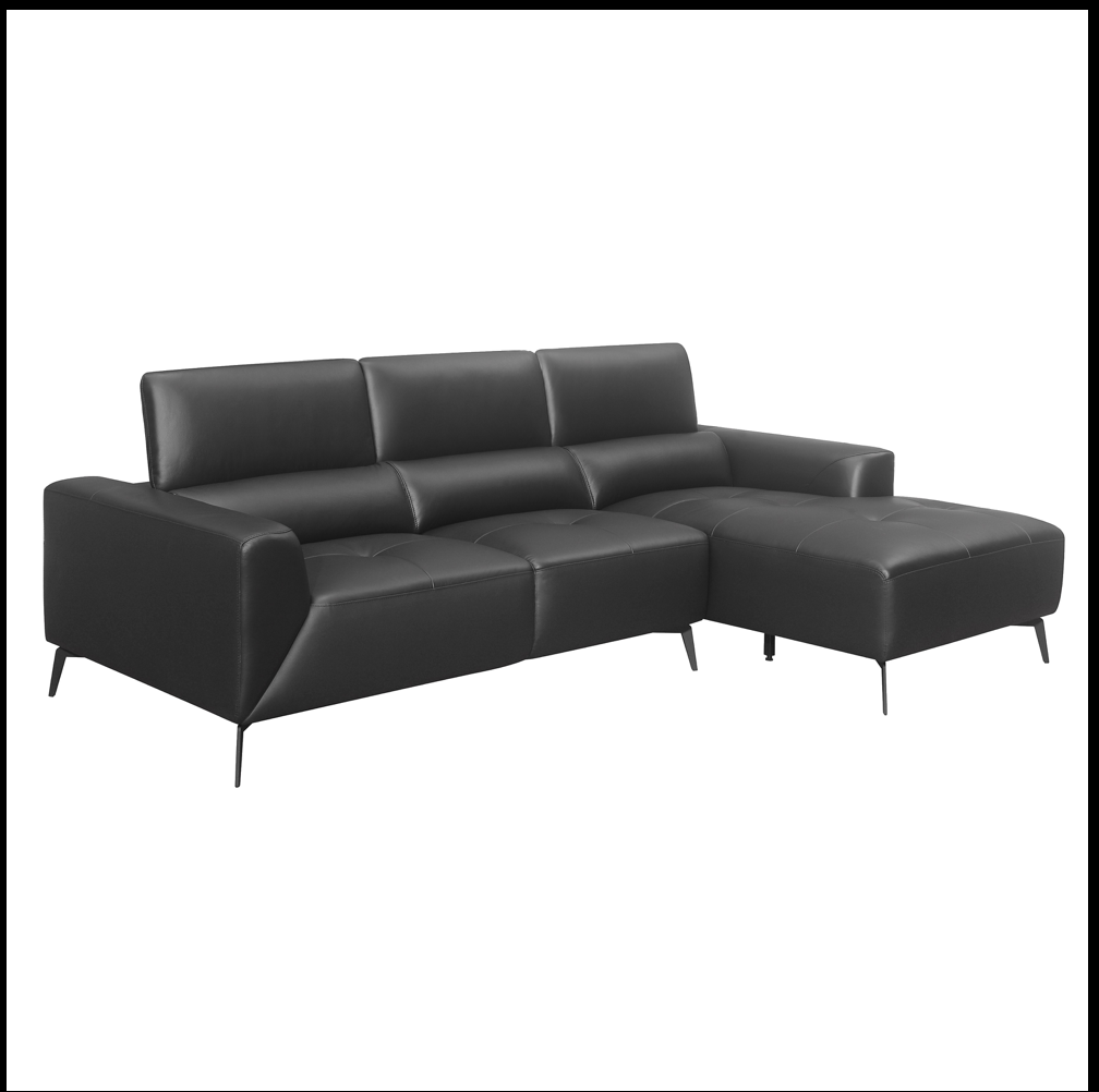 sofa sectionnel