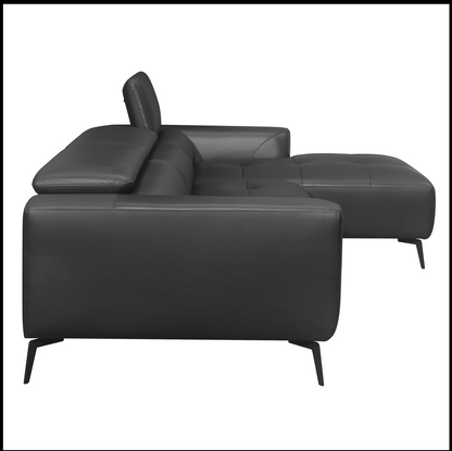 sofa sectionnel