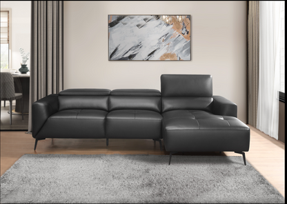 sofa sectionnel