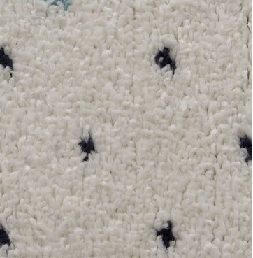 TAPIS /RUGS