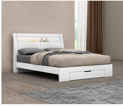 LIT DOUBLE QUEEN KING  BED