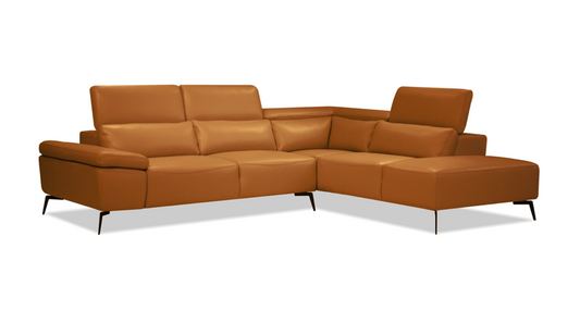SECTIONNEL